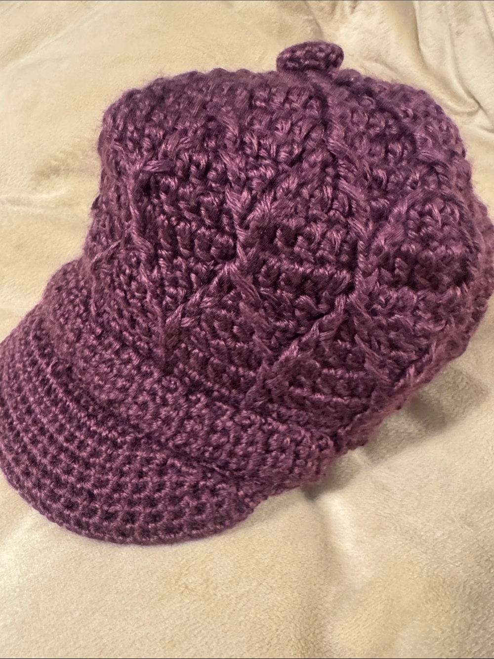 pistil Crocheted Brim Beanie in Plum Purple